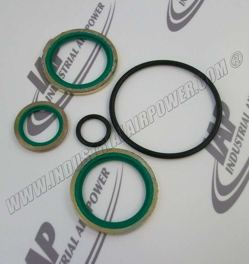 2910-3009-00 Service Kit