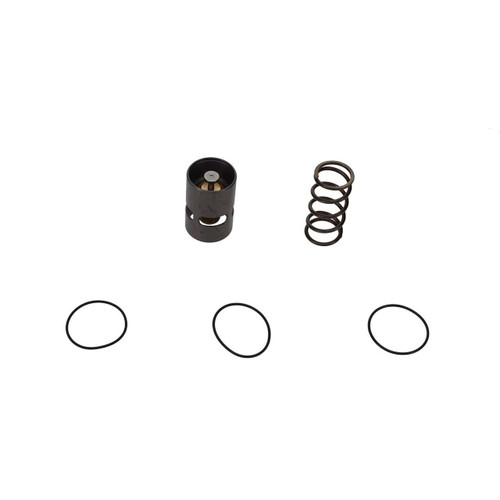 3001-4000-12 Thermostat
