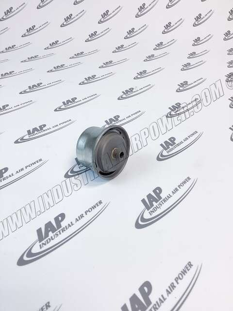 LBGHPM 1/8" NPT Poly Media Breather