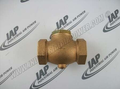 P07460A Check Valve