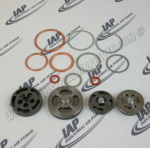 Z5155 Valve Set w/Gaskets