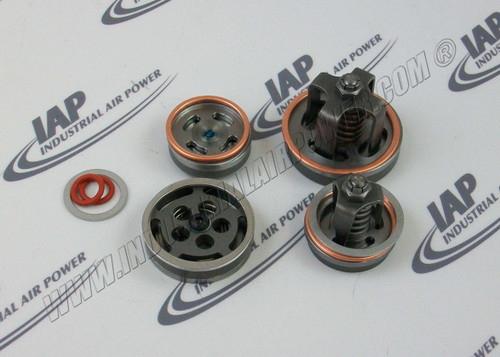 Z6795 Valve Set w/Gasket