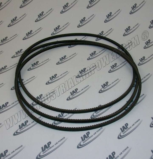 100001748 V-Belt Set