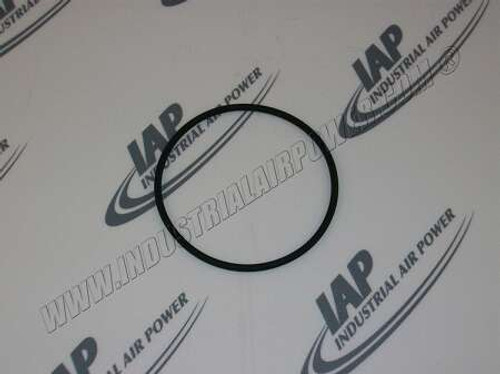 98504.1384 O-Ring