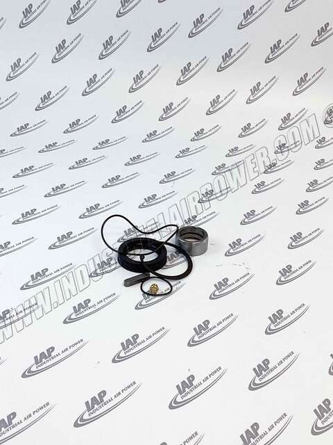 ZS1091974 Air End Shaft Seal