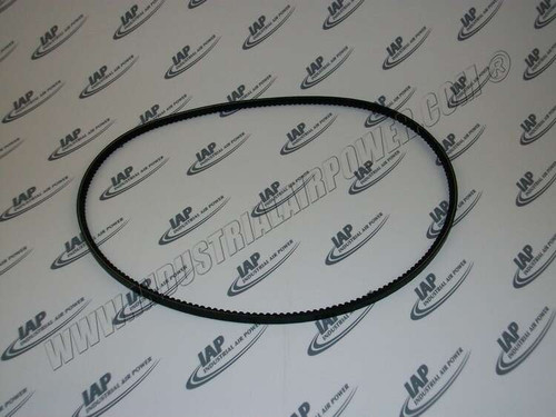 RN14311-1 Belt