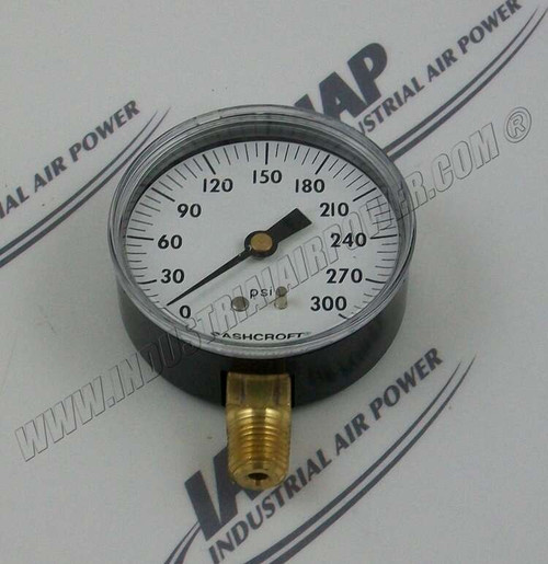 RN30320 Gauge-Air 300 P.S.I. 2.1/2