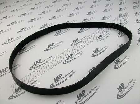 13AE51 Belt