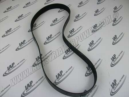 13AE54 Belt