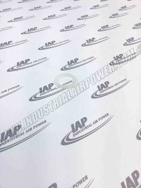 150175 Gasket, Oil Fill Plu