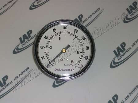 2009562 0-200# Gauge