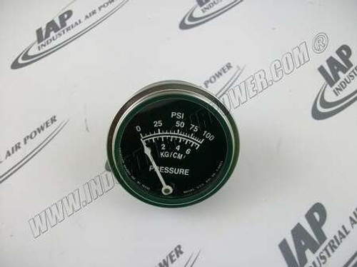 2009742 Gauge