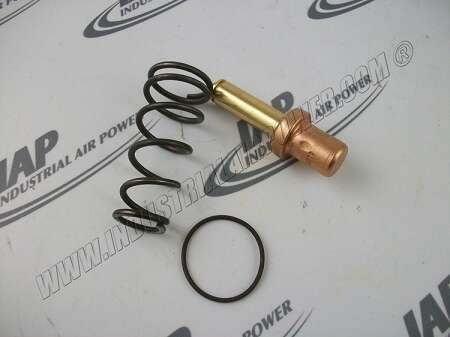 2116925 Thermal Valve Element