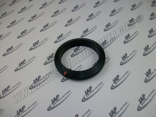 2117163 Gasket 5 In