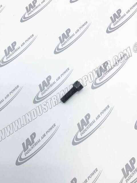 44582440 Hexagonal Socket Head Screw M12X35 M8.8 1.63