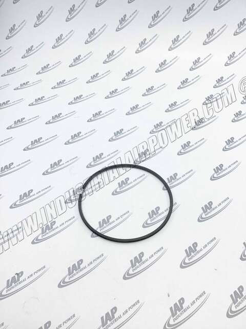 65AM116 Piston Ring Assembly