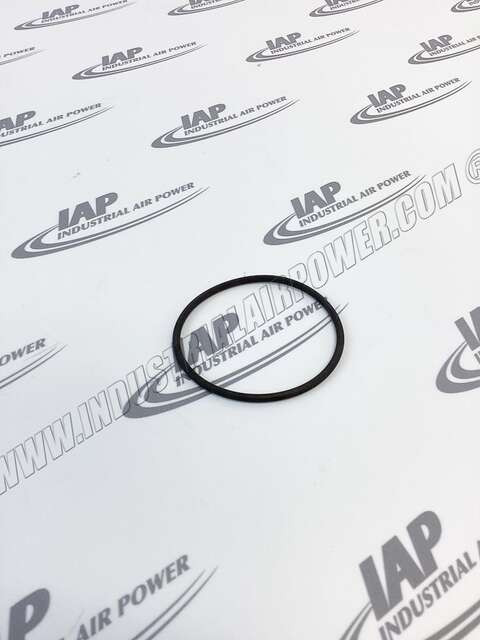 CZ9810 O-ring 0595-30