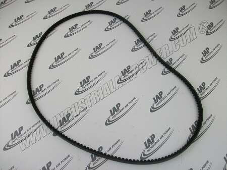 EFC89609069 Belt