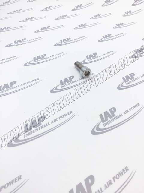 MS712-35-761 M12X35 Skt Cap Screw Stst Stainless