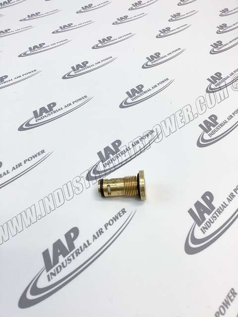 TEN003202 Valve-Check Cartage 3/8G Port