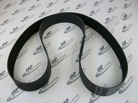 22189039 V-Belt