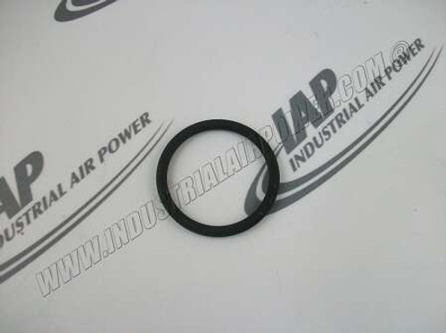 22199806 O-Ring