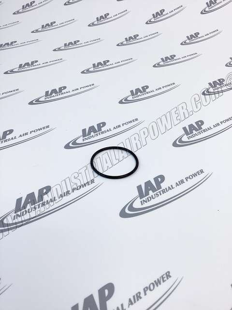 22354971 O-Ring