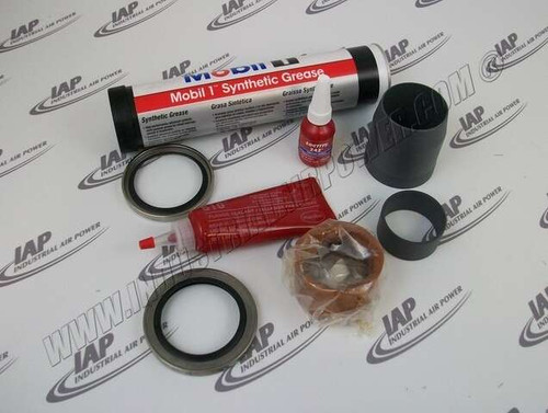 22861116 Shaft Seal Kit