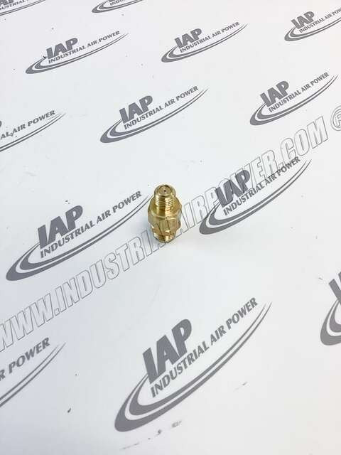 24492571 In-Line Check (M1 Valve