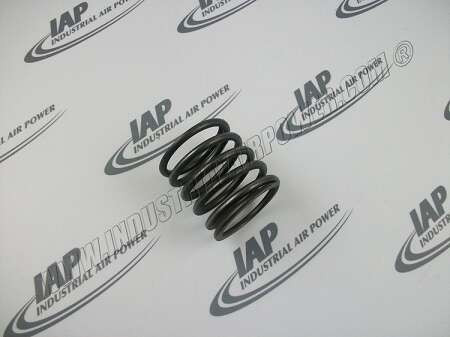 30416853 Spring