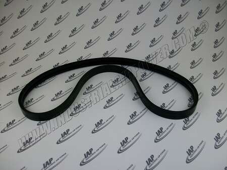 32497869 Banded 2A-68 V-Belt