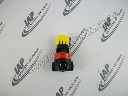 37992849 1/4 NPT Regulator