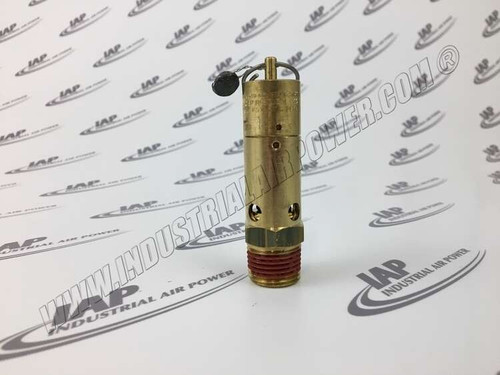38006532 Chamber Relief Valve