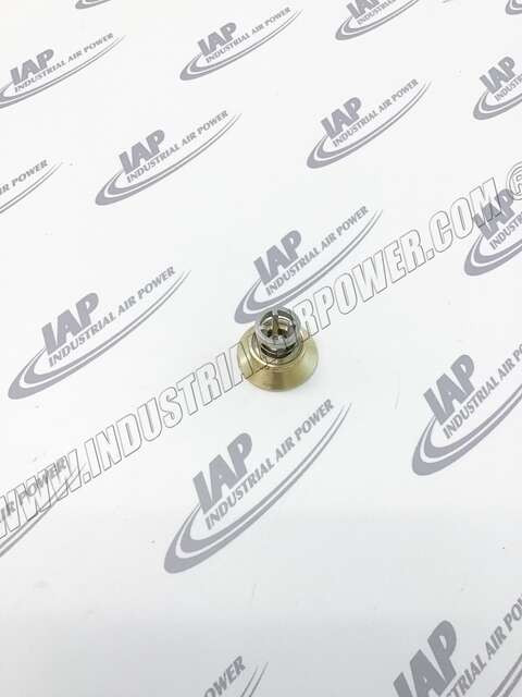 38054490 Check Valve 1" Insert