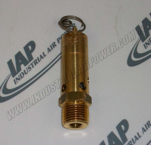 39587993 Relief Valve 165 psig