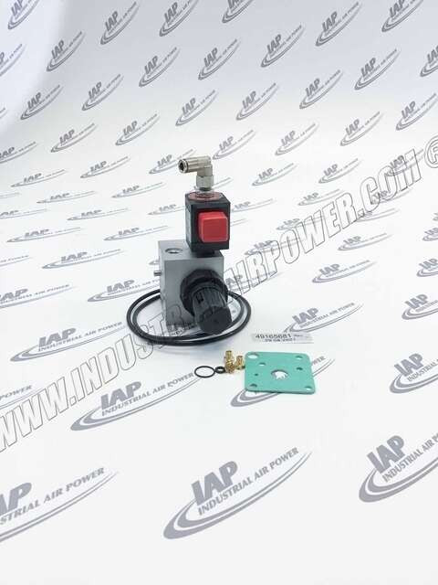 47690461001 Kit, Inlet Valve Rebuild