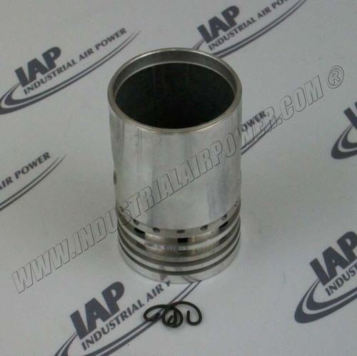 49815061 Piston/Pin-2.25 Assembly