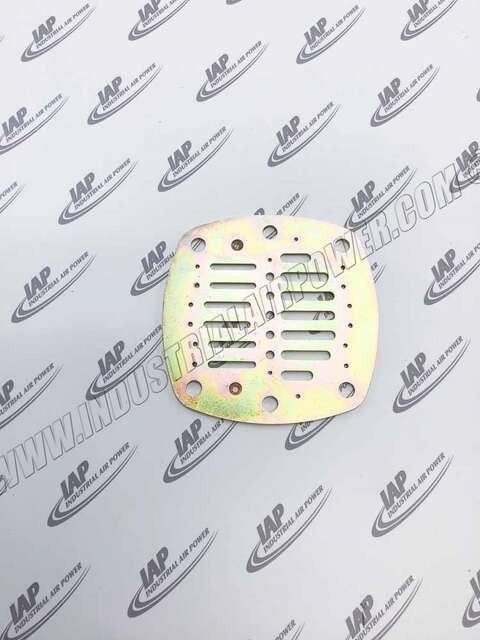 54422746 Valve Plate-HP Inlet
