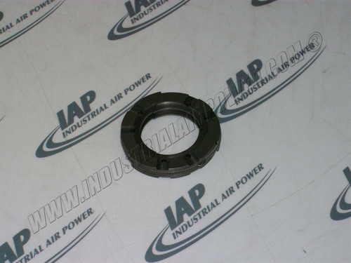 54491386 Oil Scraper Ring
