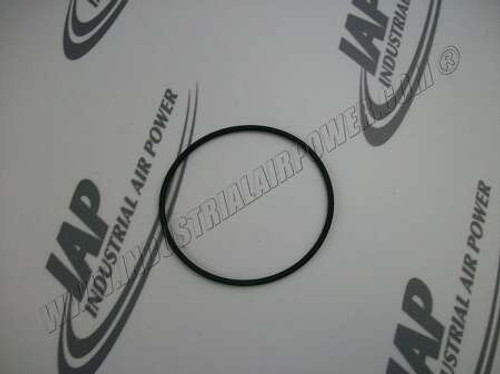 95061024 O-Ring