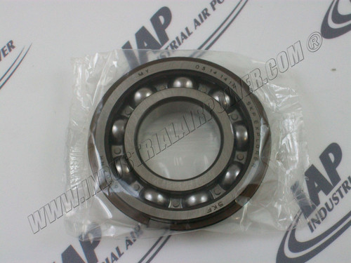 95951224 Bearing w/Snap Ring