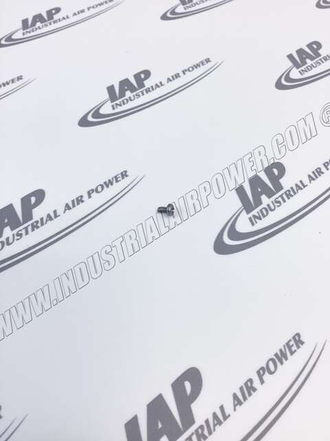 111134-B02 Pl 4NCX0 Pan SS Tap Screw