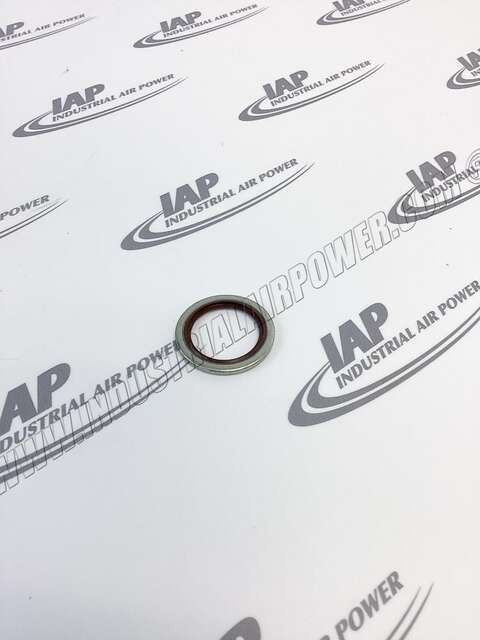 0661100043 Washer, QGS