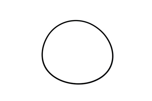 0663713600 O-Ring