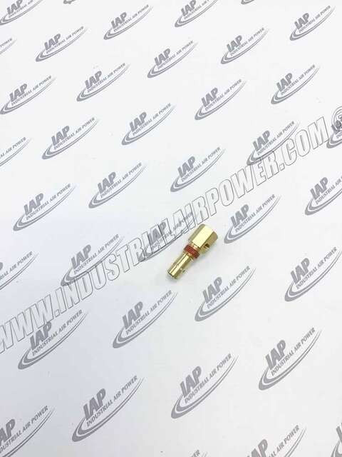 1312100170 Check Valve