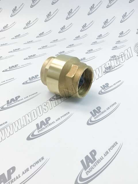 1624504050 Check Valve, Purge, 2.0NPT