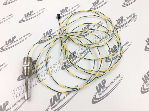 140551 13 Ft Leads 0.5 NPT Tube Rtd