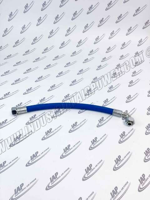 141951-037 Hose F0.75 25 1500WP Assembly