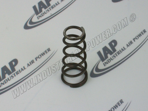 125732-051 Thermo Valve Special Spring