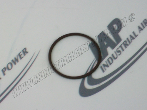 128786-052 Thermo Valve Special O-Ring